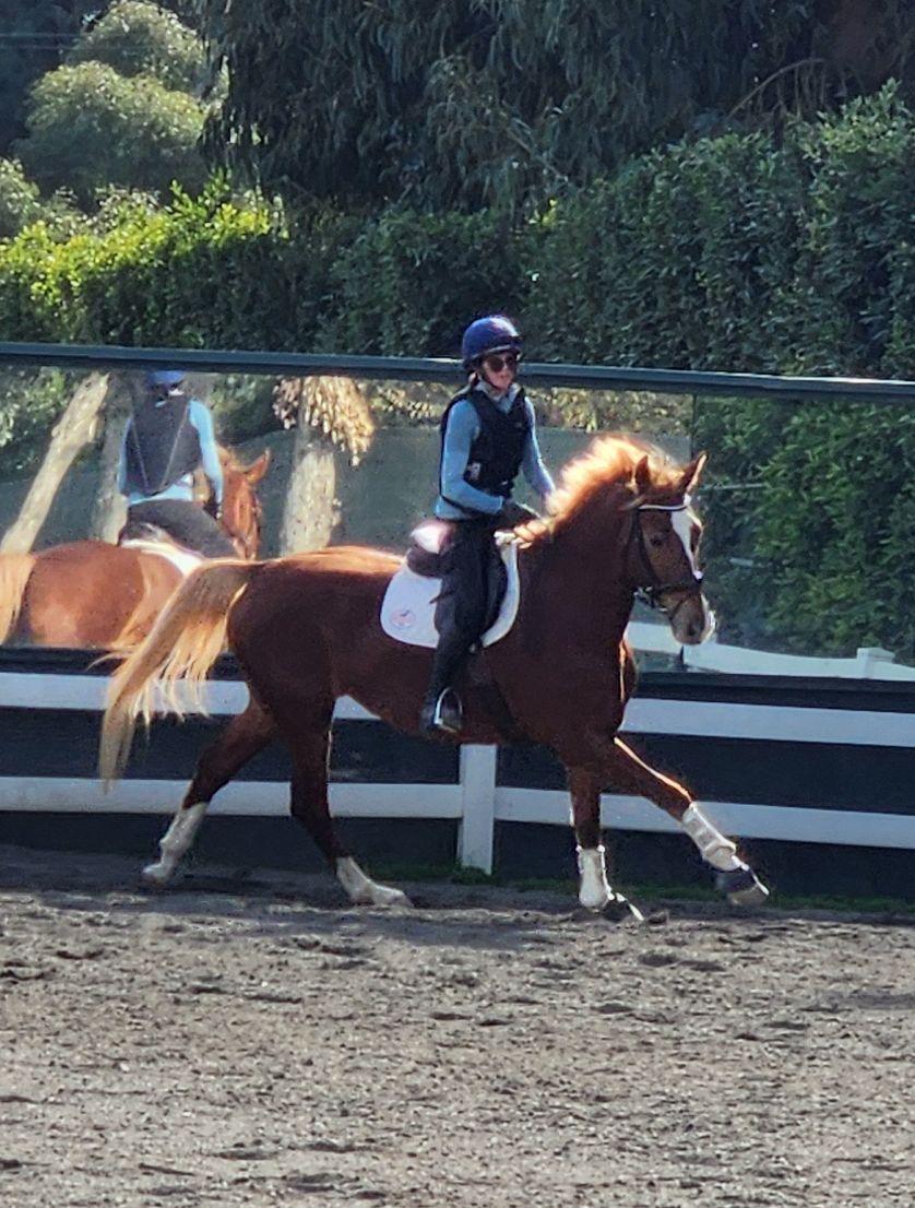 Rachel canters a chestnut mare in a beautiful arena.