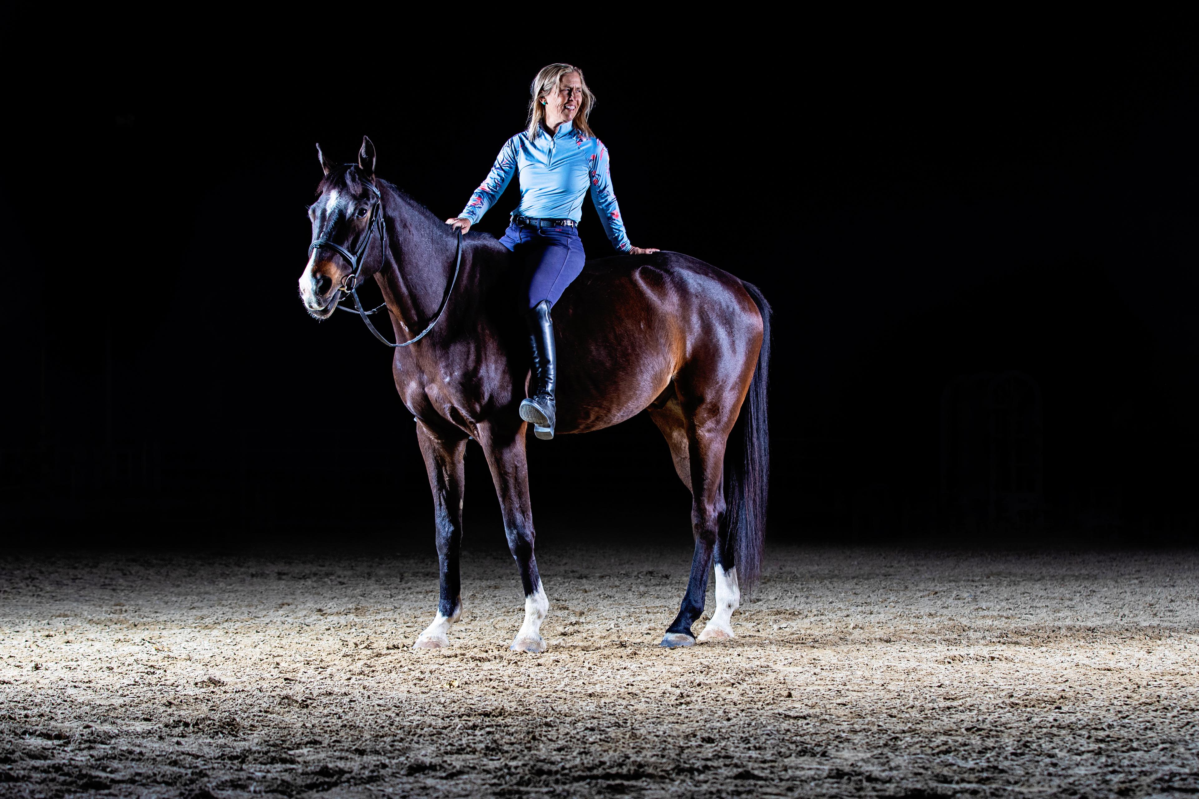 bay horse with rider at nite in spotlight