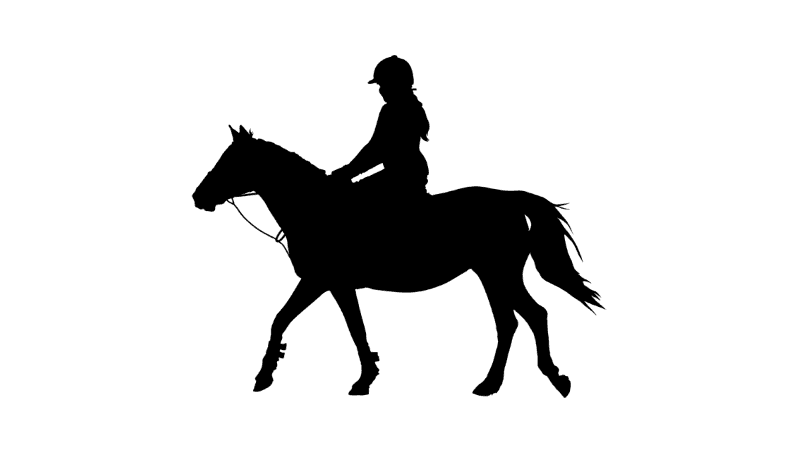 person riding a horse icon