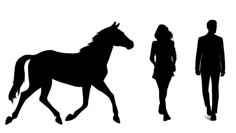 two persons next to a horse icon