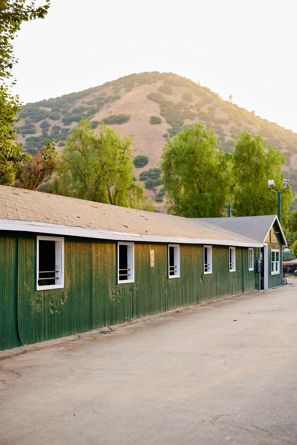 green barn shedrow with griffith park in background