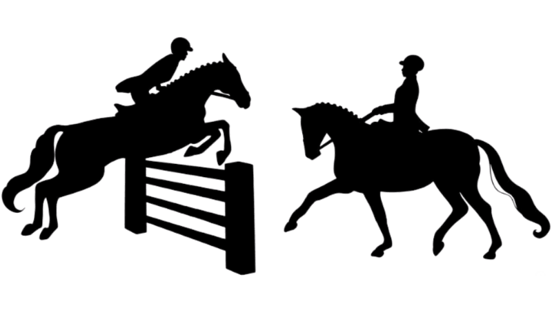 horses with riders icon